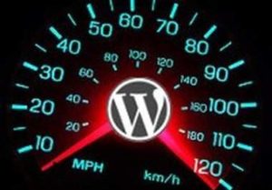 wpo_wordpress